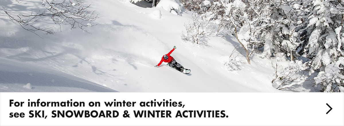 For information on winter activities, see SKI, SNOWBOARD & WINTER ACTIVITIES.